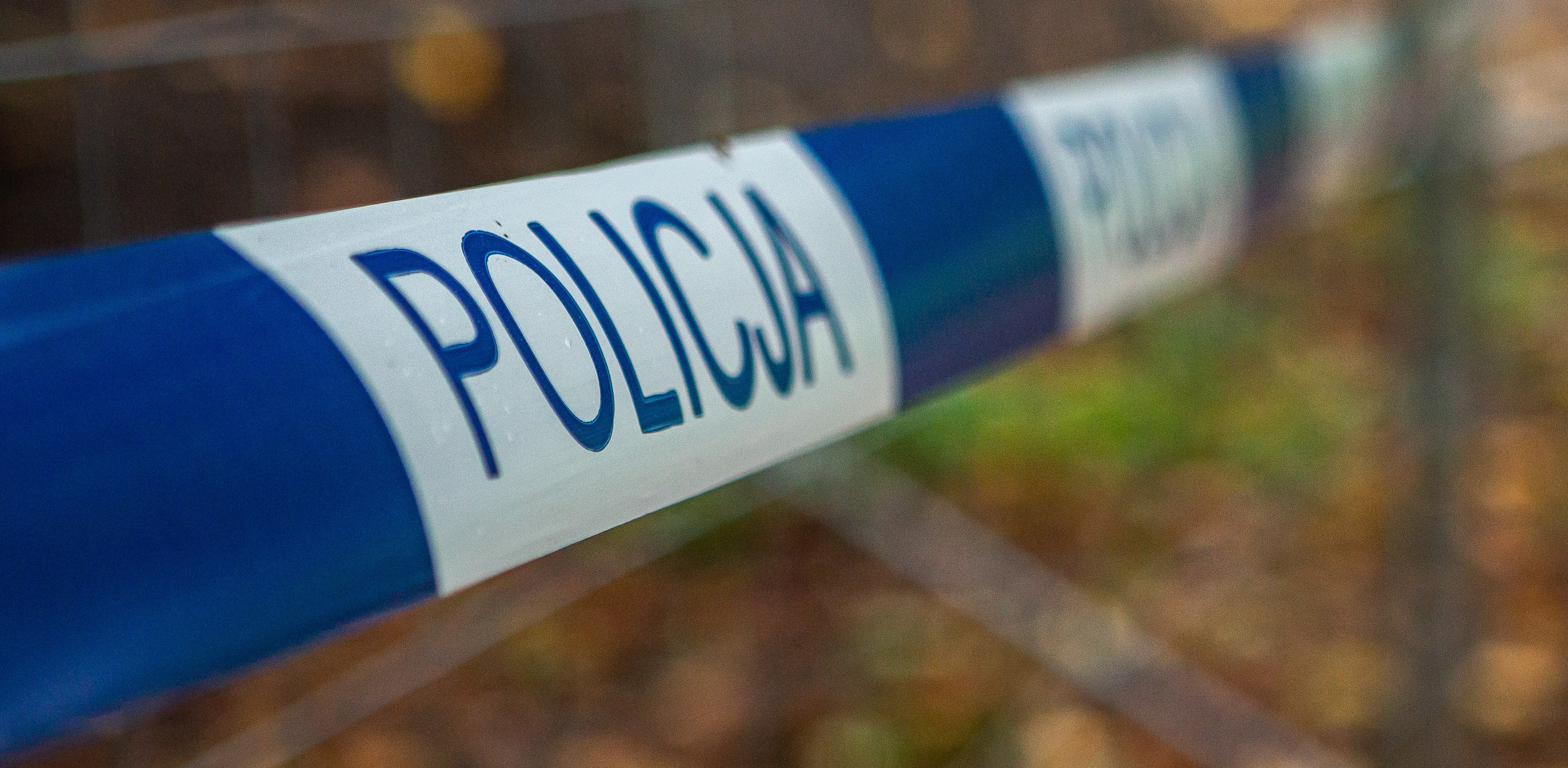 (Fot. Anna Rezulak / KFP)