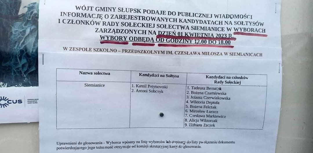 (Fot. Kamil Patynowski)