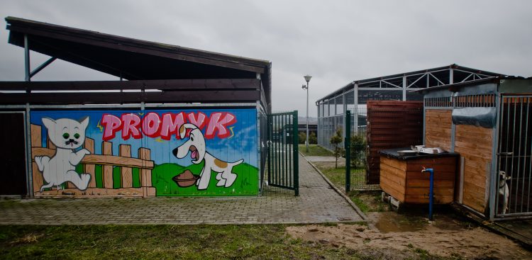 (Fot. Mateusz Ochocki / KFP)