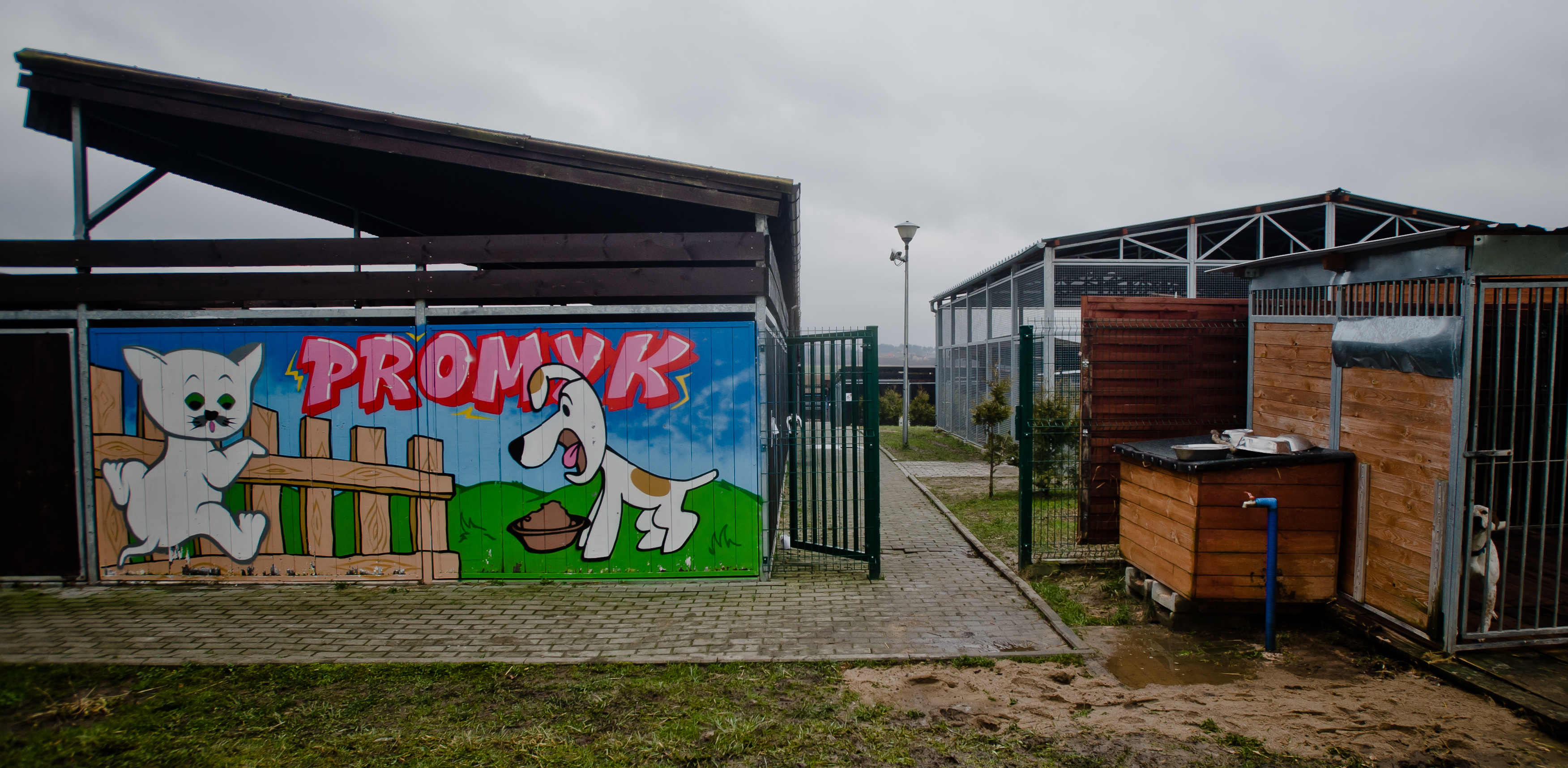 (Fot. Mateusz Ochocki / KFP)