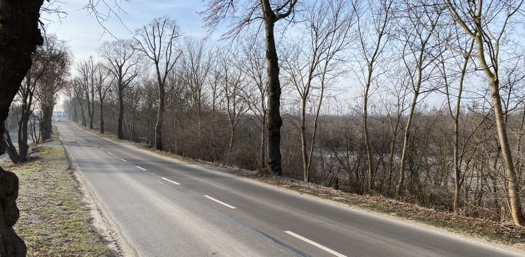 (Fot. Radio Gdańsk/Filip Jędruch)