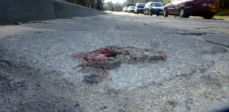 (Fot. Archiwum Prywatne/Piotr Zięcik)