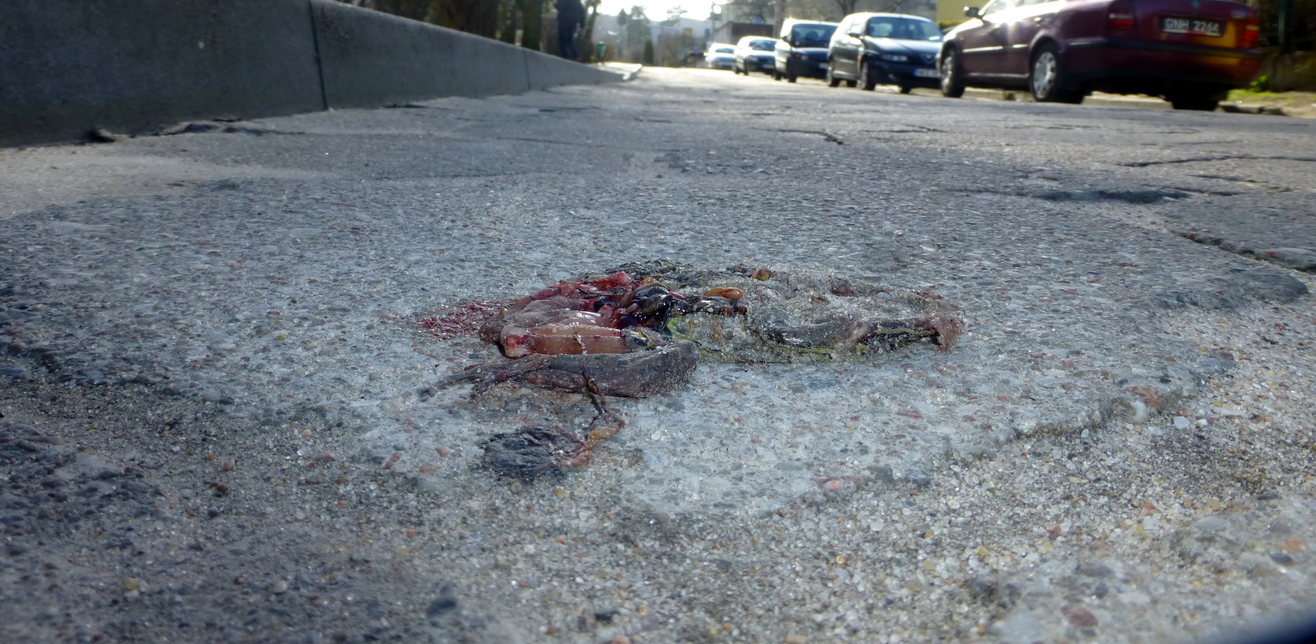 (Fot. Archiwum Prywatne/Piotr Zięcik)