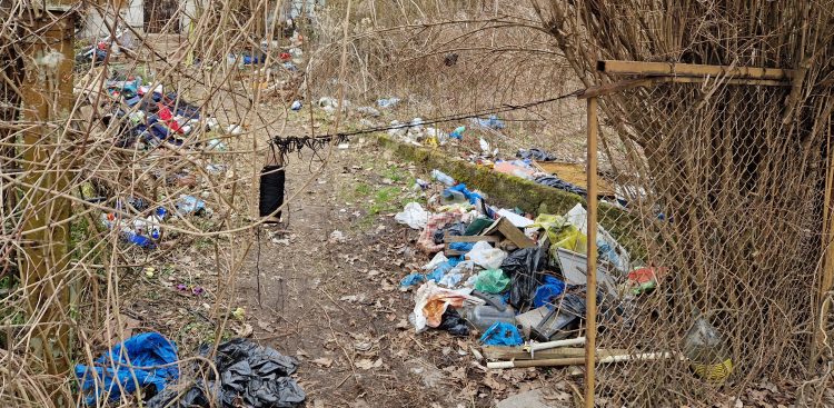 (Fot. Radio Gdańsk/Grzegorz Armatowski)