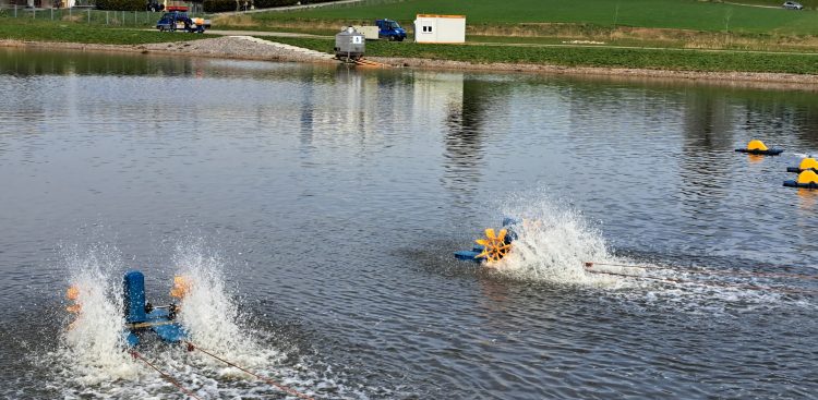 (Fot. Radio Gdańsk/Sebastian Kwiatkowski)