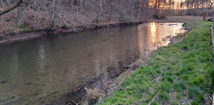 (Fot. Radio Gdańsk/Sebastian Kwiatkowski)