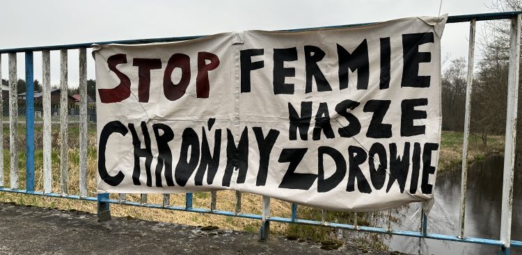 (Fot. Radio Gdańsk/Kinga Siwiec)