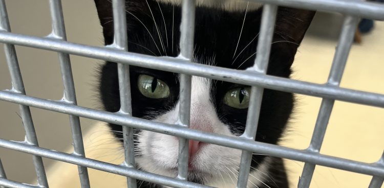 (Fot. Radio Gdańsk/Joanna Merecka-Łotysz)