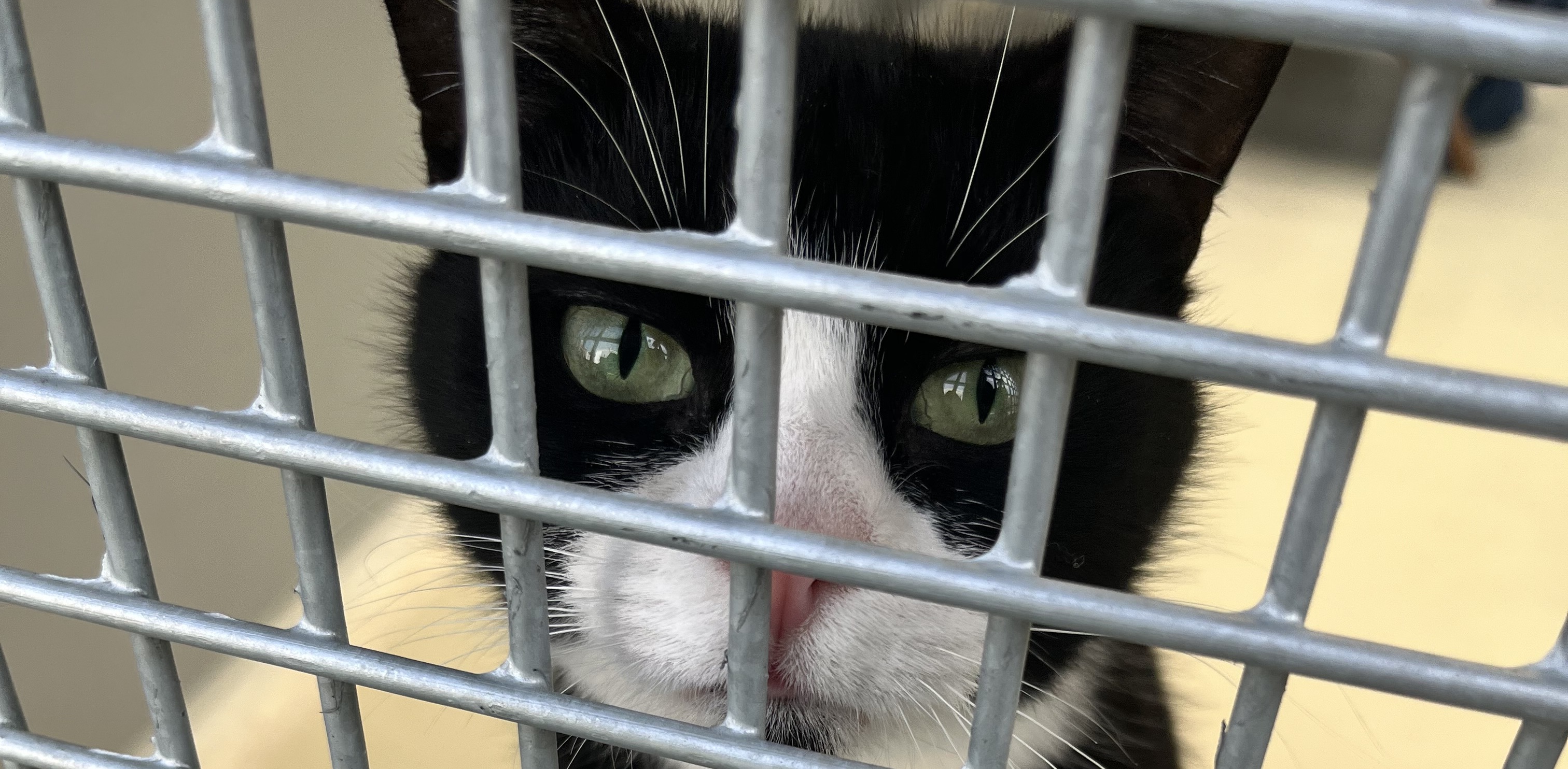 (Fot. Radio Gdańsk/Joanna Merecka-Łotysz)