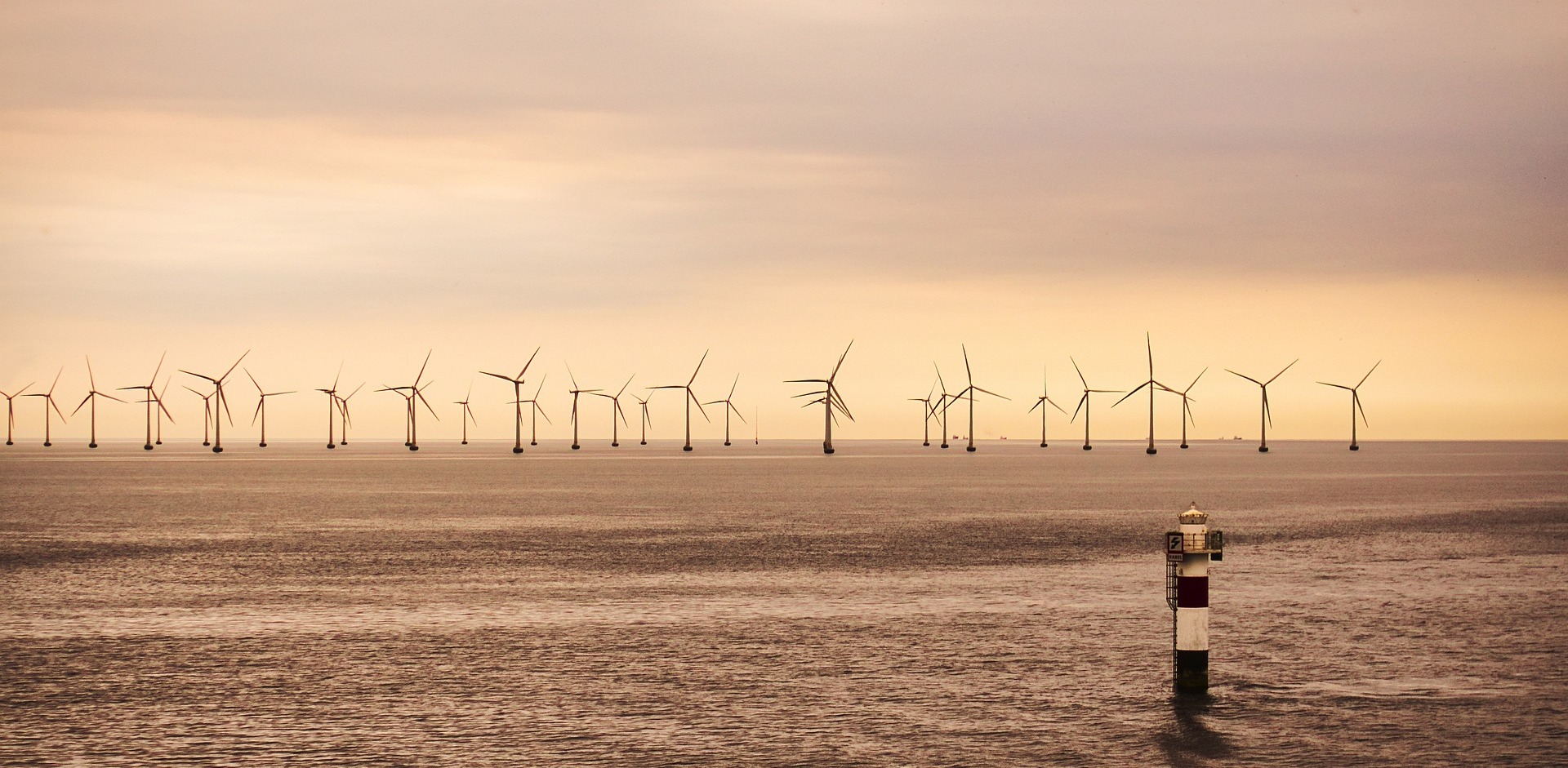 Morska farma wiatrowa(Fot. Pixabay.com)