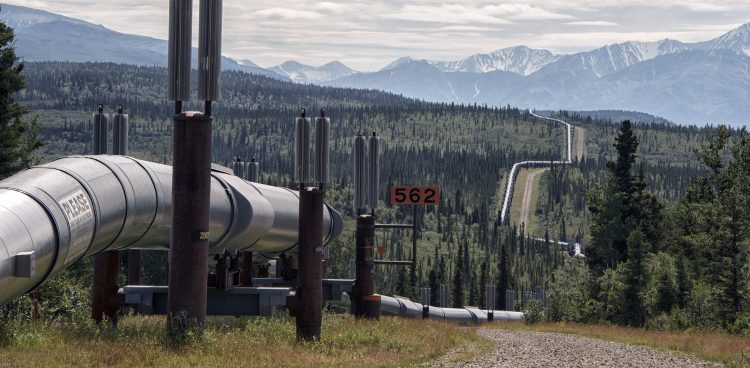 (Fot. wikimedia commons)