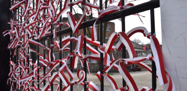 (Fot. Piotr Piotrowski)