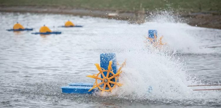 (Fot. www.gdansk.pl)