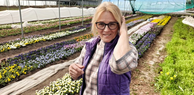 Zofia Zienkiewicz, prowadząca Ogrodnictwo Lawenda
(Fot. Radio Gdańsk)