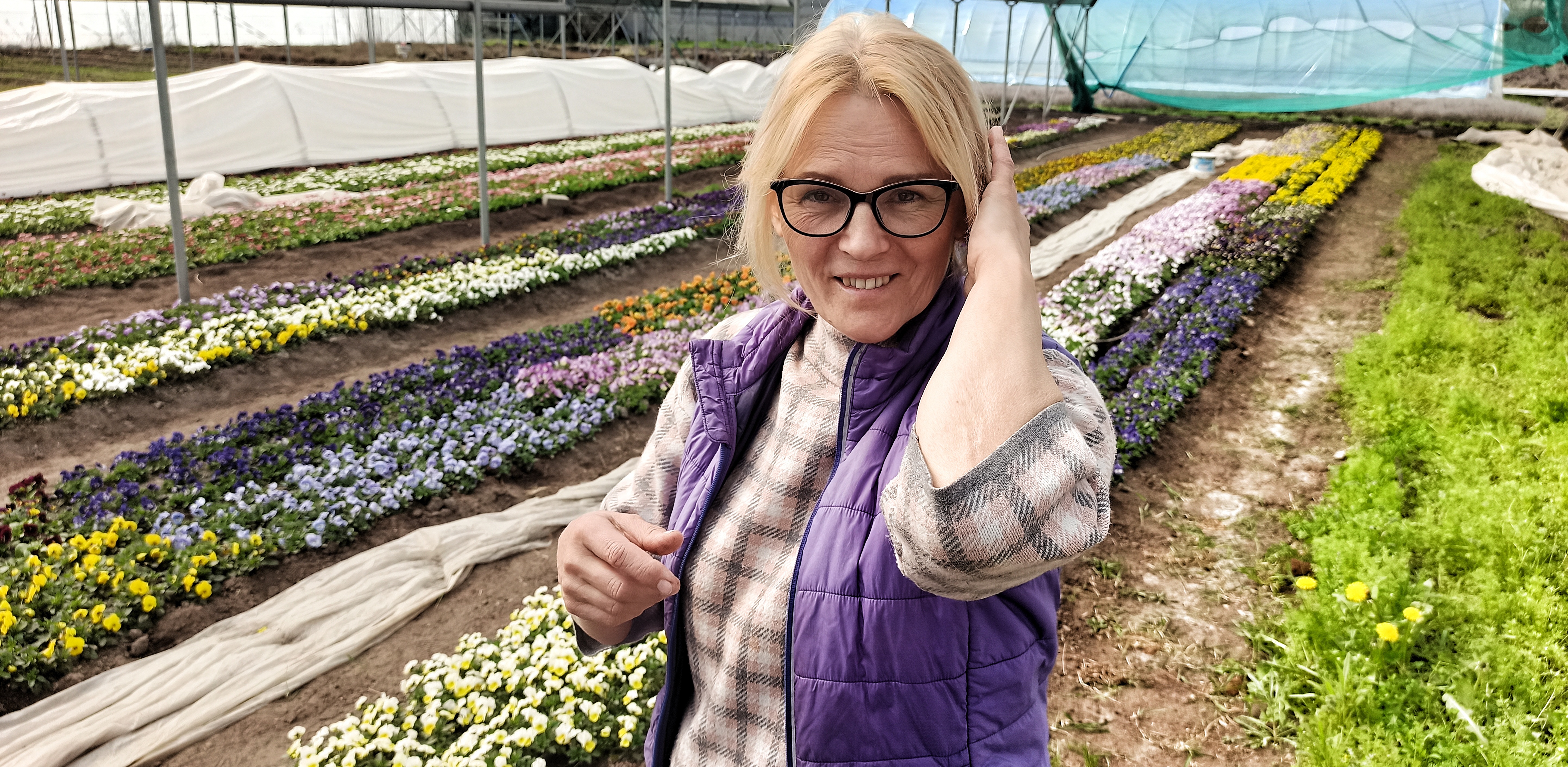Zofia Zienkiewicz, prowadząca Ogrodnictwo Lawenda(Fot. Radio Gdańsk)