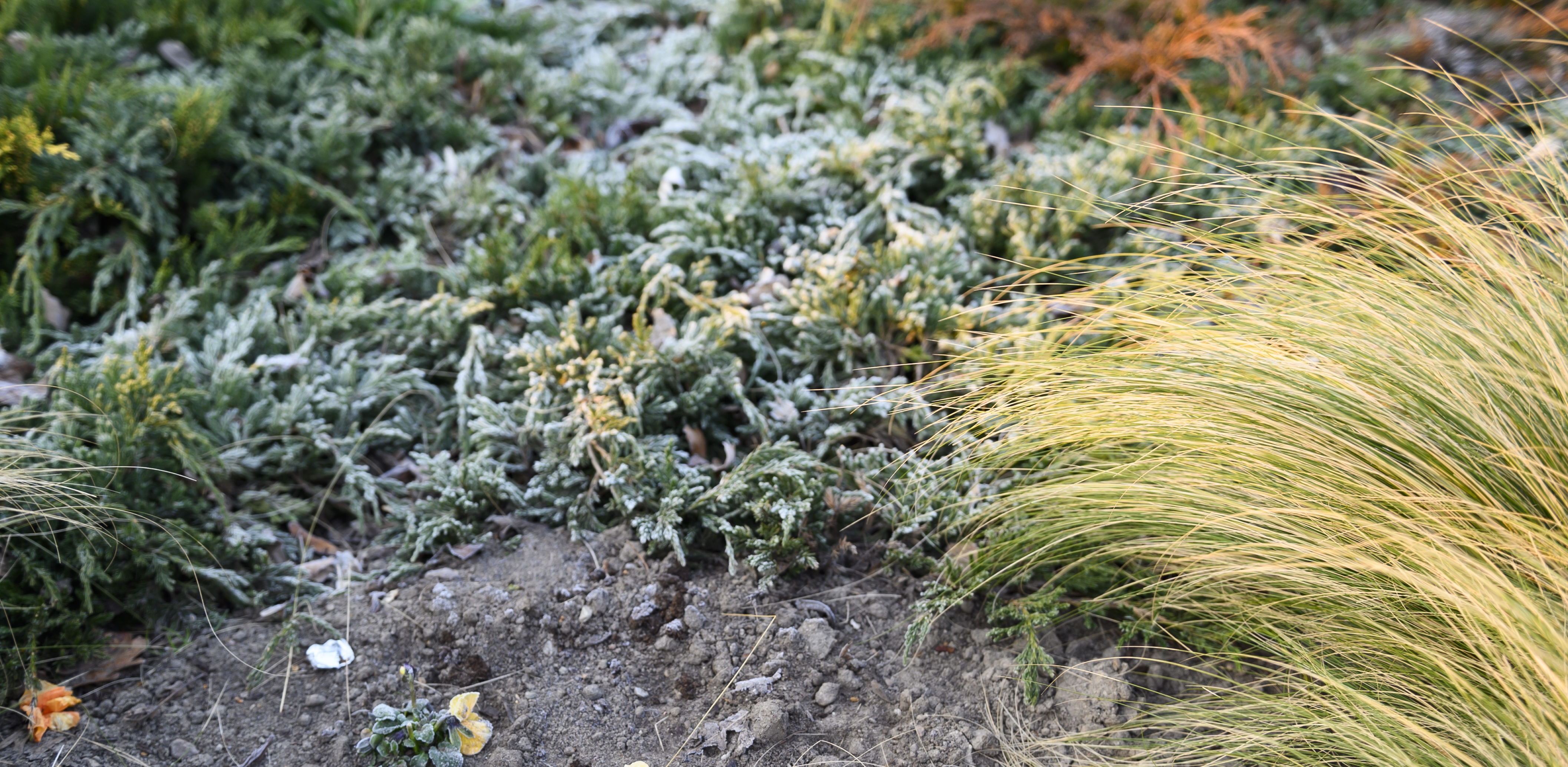 (Fot. Agencja KFP/ Anna Bobrowska)