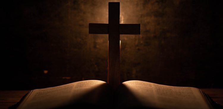 (fot. Freepik/jcomp)