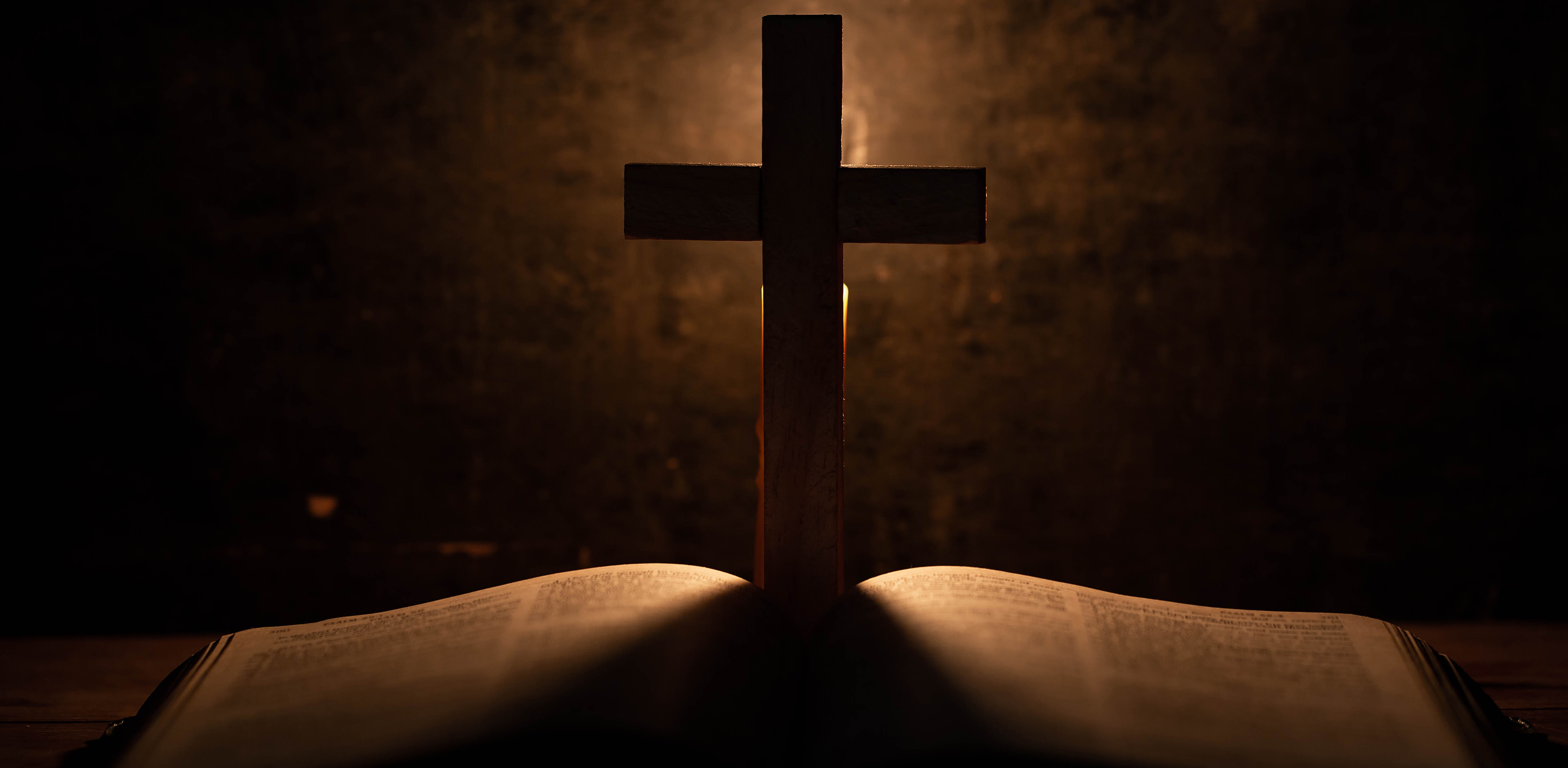 (fot. Freepik/jcomp)