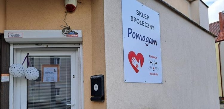 (Fot. Fundacja MaszKotka)