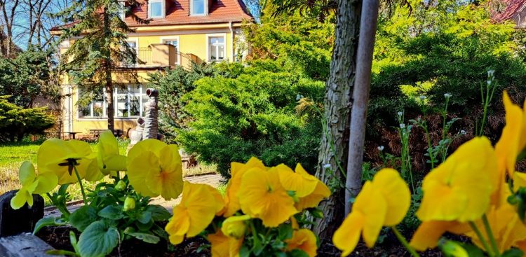 (Fot. Radio Gdańsk/Włodzimierz Raszkiewicz)