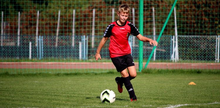 Zdjęcie ilustracyjne (Fot. Pixabay)