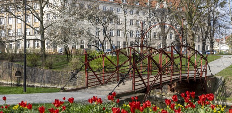 (fot. Paweł Marcinko / KFP)