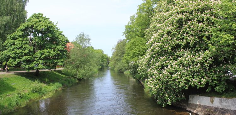 (fot. Flickr/magro_kr)