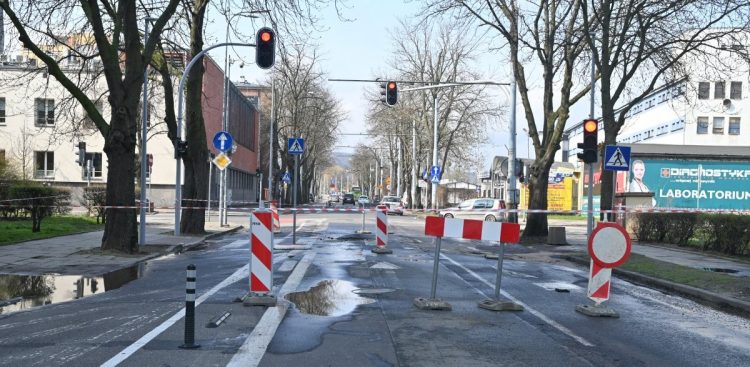 (Fot. www.gdynia.pl/Dominika Sobiech)