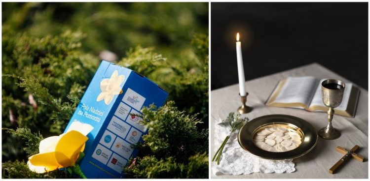 (fot. Pola Nadziei, Freepik)