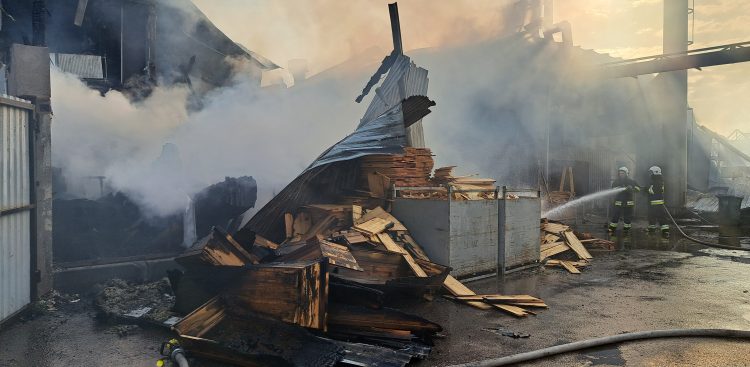 (Fot. Radio Gdańsk/Sebastian Kwiatkowski)