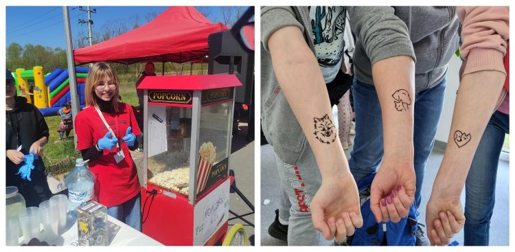 (Fot. schronisko.slupsk.pl)