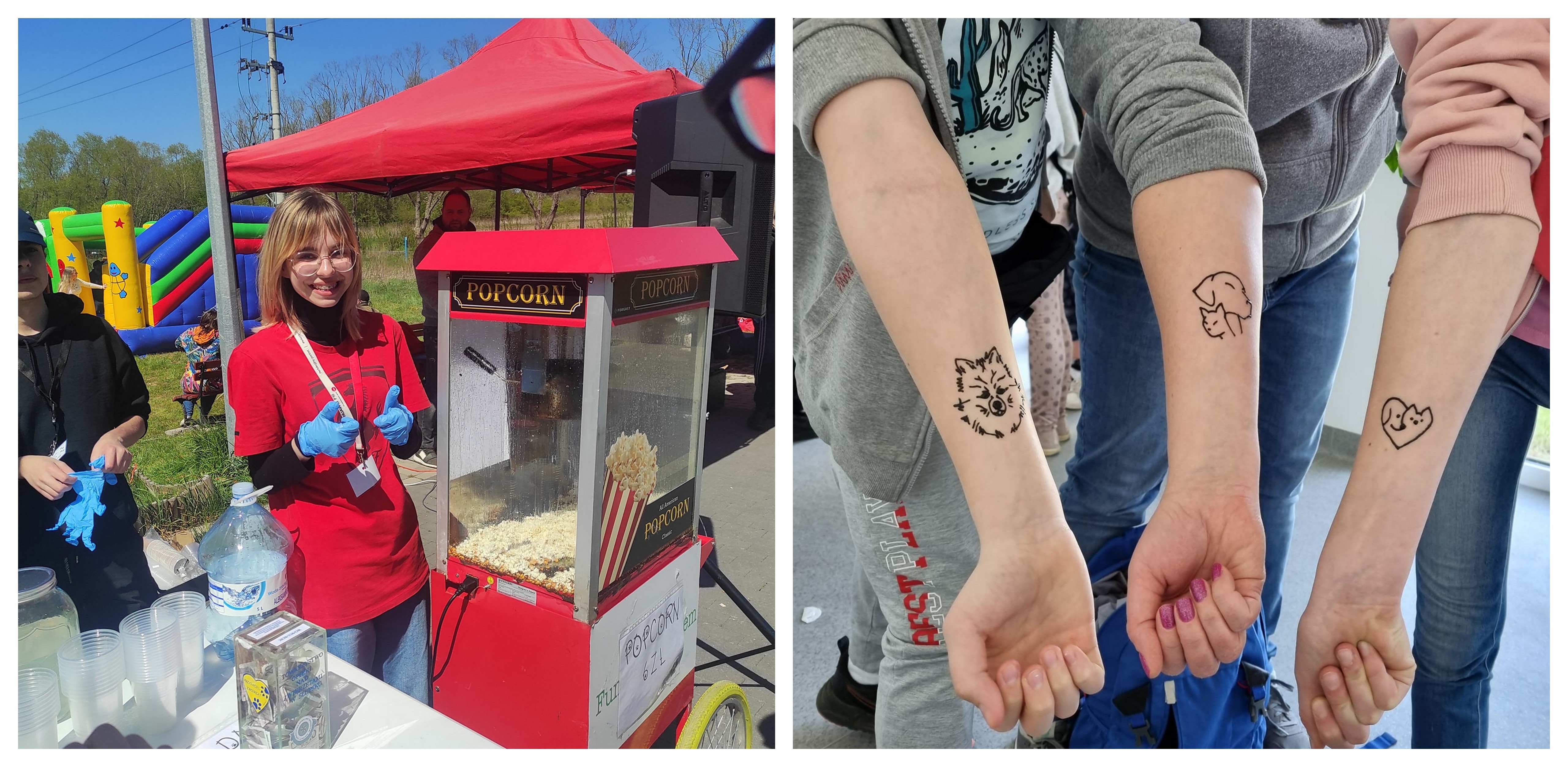 (Fot. schronisko.slupsk.pl)