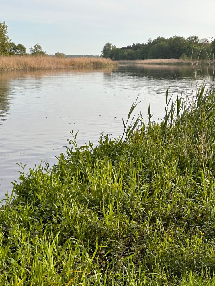 (Fot. Radio Gdańsk/Andrzej Dubas)