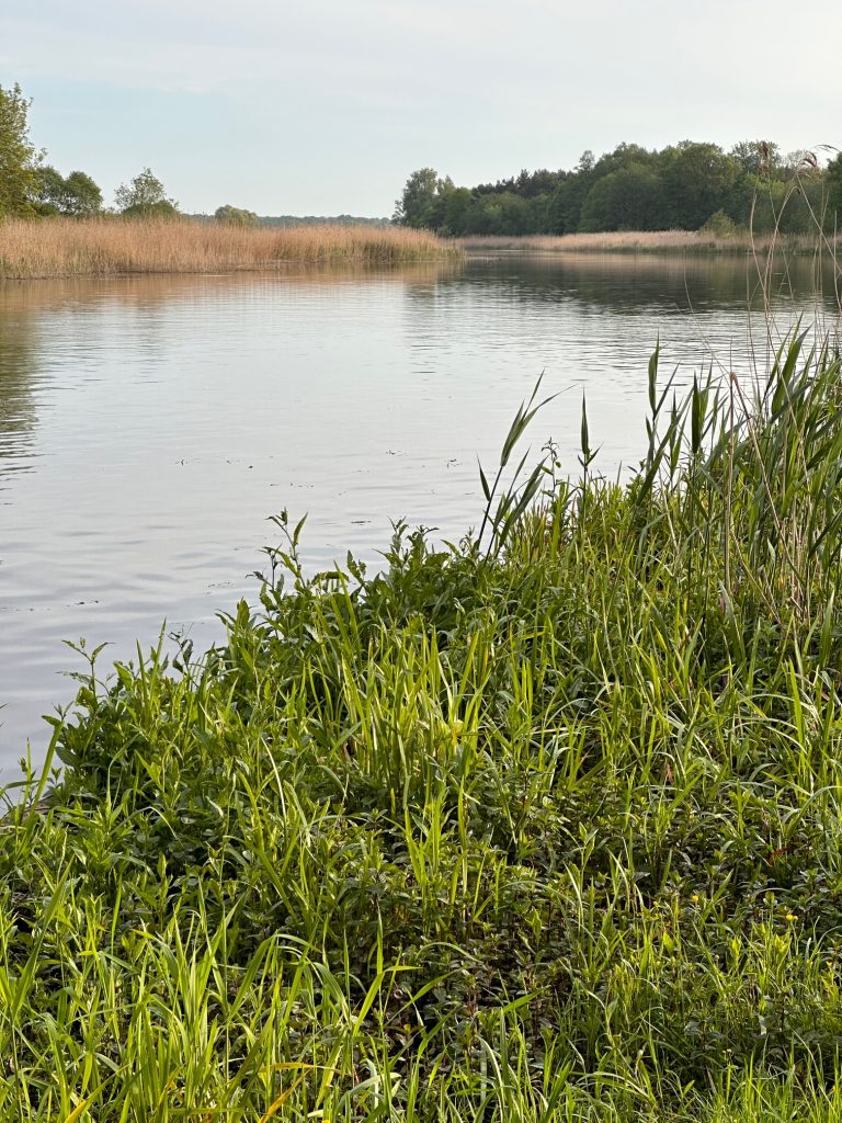 (Fot. Radio Gdańsk/Andrzej Dubas)