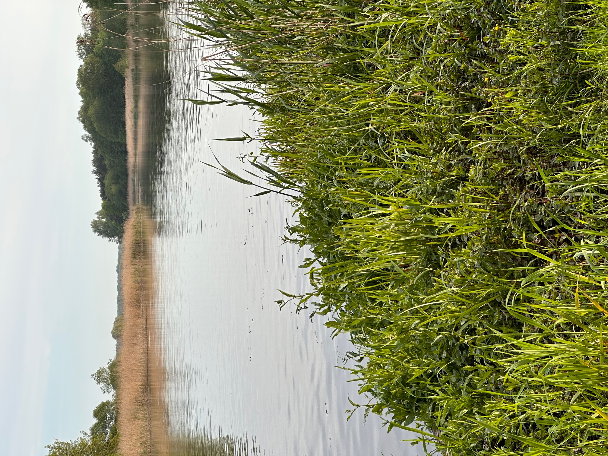 (Fot. Radio Gdańsk/Andrzej Dubas)