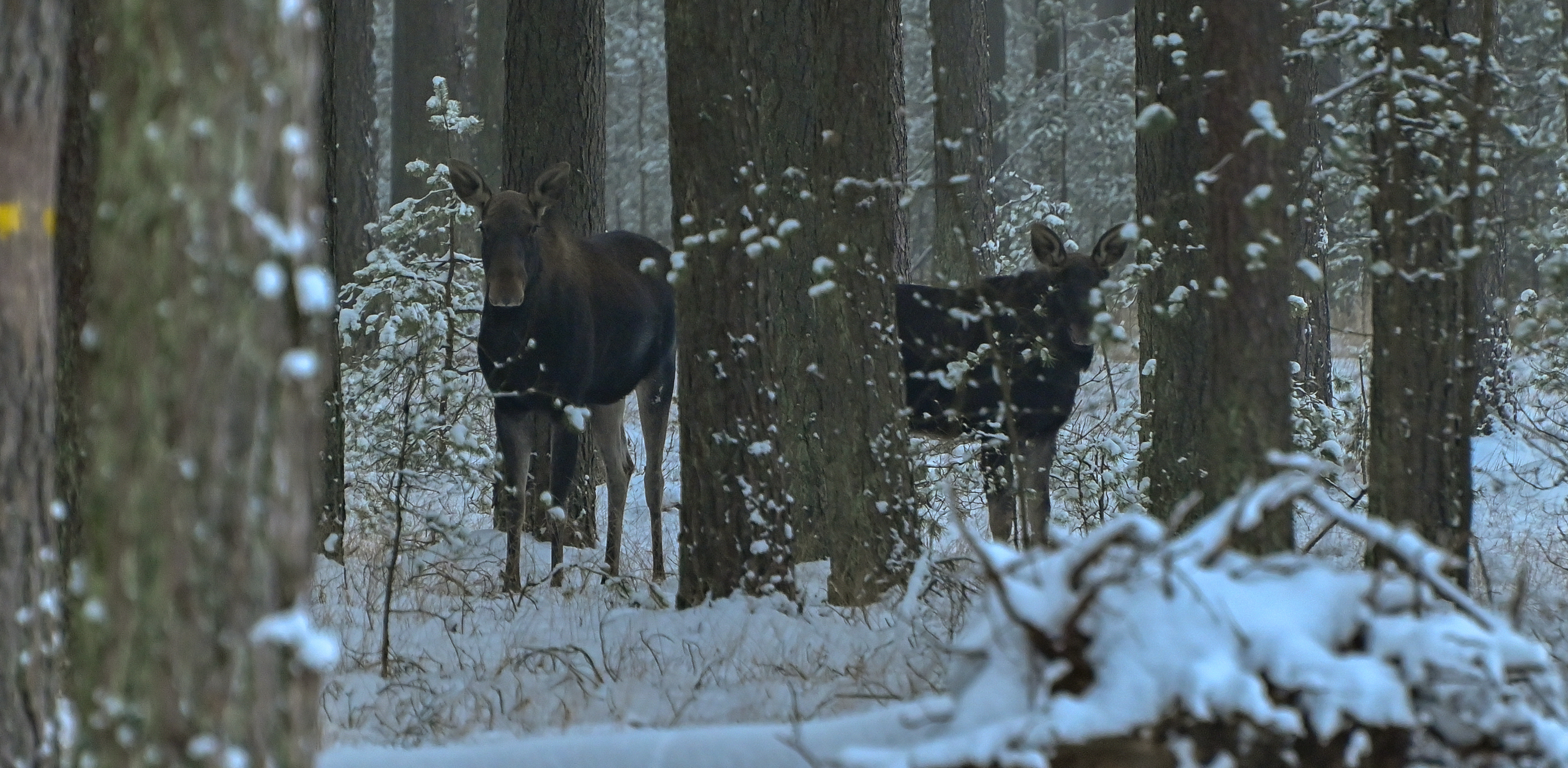 (Fot. Radio Gdańsk/Grzegorz Armatowski)