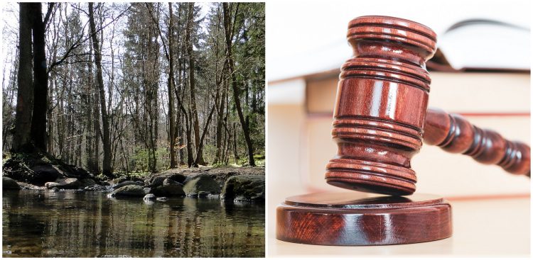 (Fot. Dariusz Ożarowski/tpkgdansk.pl/Pixabay.com)