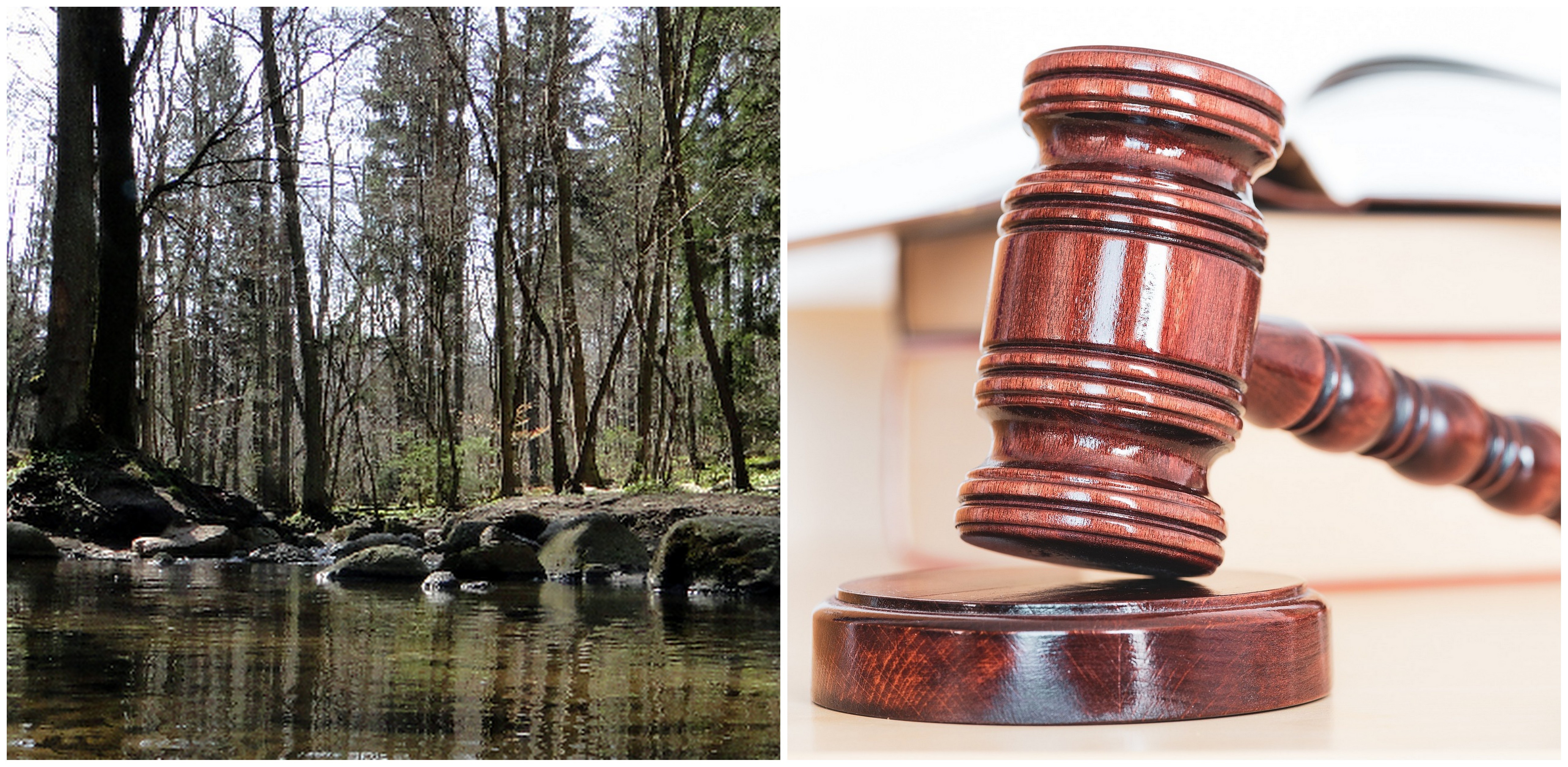 (Fot. Dariusz Ożarowski/tpkgdansk.pl/Pixabay.com)