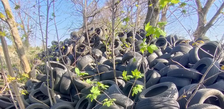 (Fot. Wojewódzki Inspektorat Ochrony Środowiska w Gdańsku)