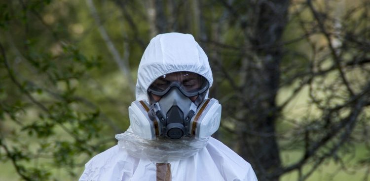 Zdjęcie ilustracyjne (Fot. Pixabay)