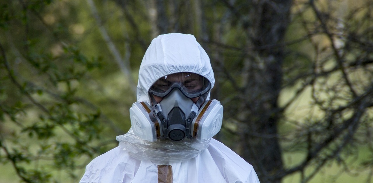 Zdjęcie ilustracyjne (Fot. Pixabay)