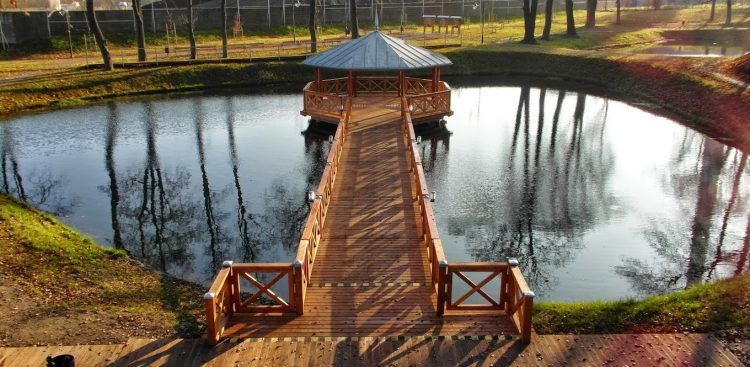 (fot. W. Kisielewski)