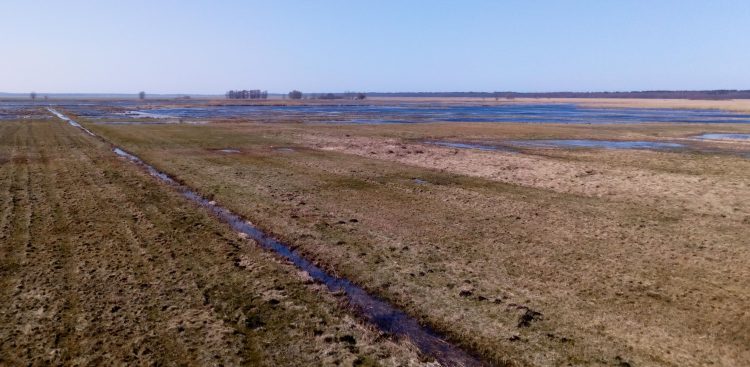 (fot. Łukasz Fuglewicz)