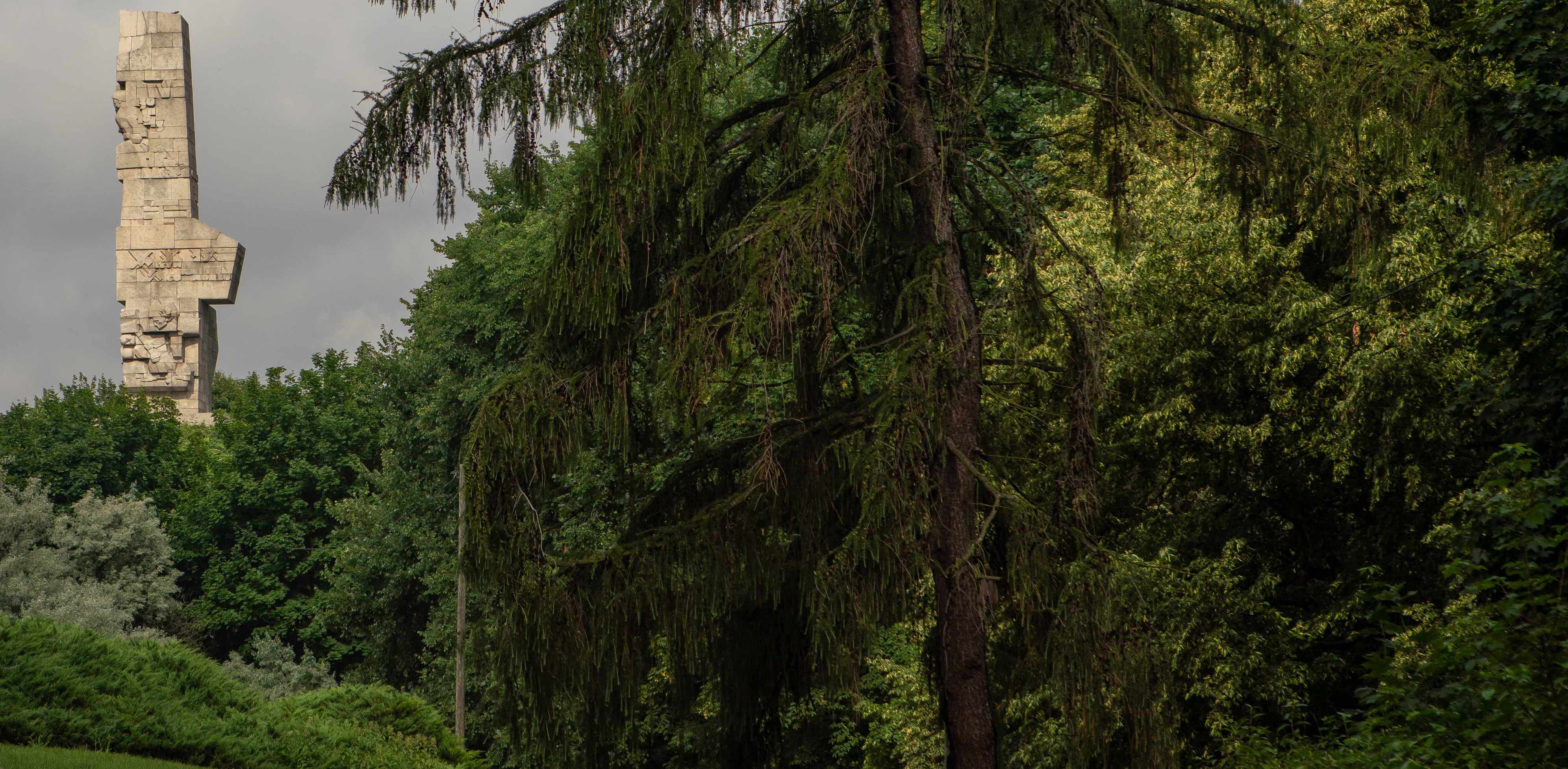 (Fot. Agencja KFP/Anna Rezulak)