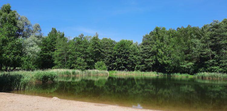 (fot. Radio Gdańsk/Kinga Siwiec)