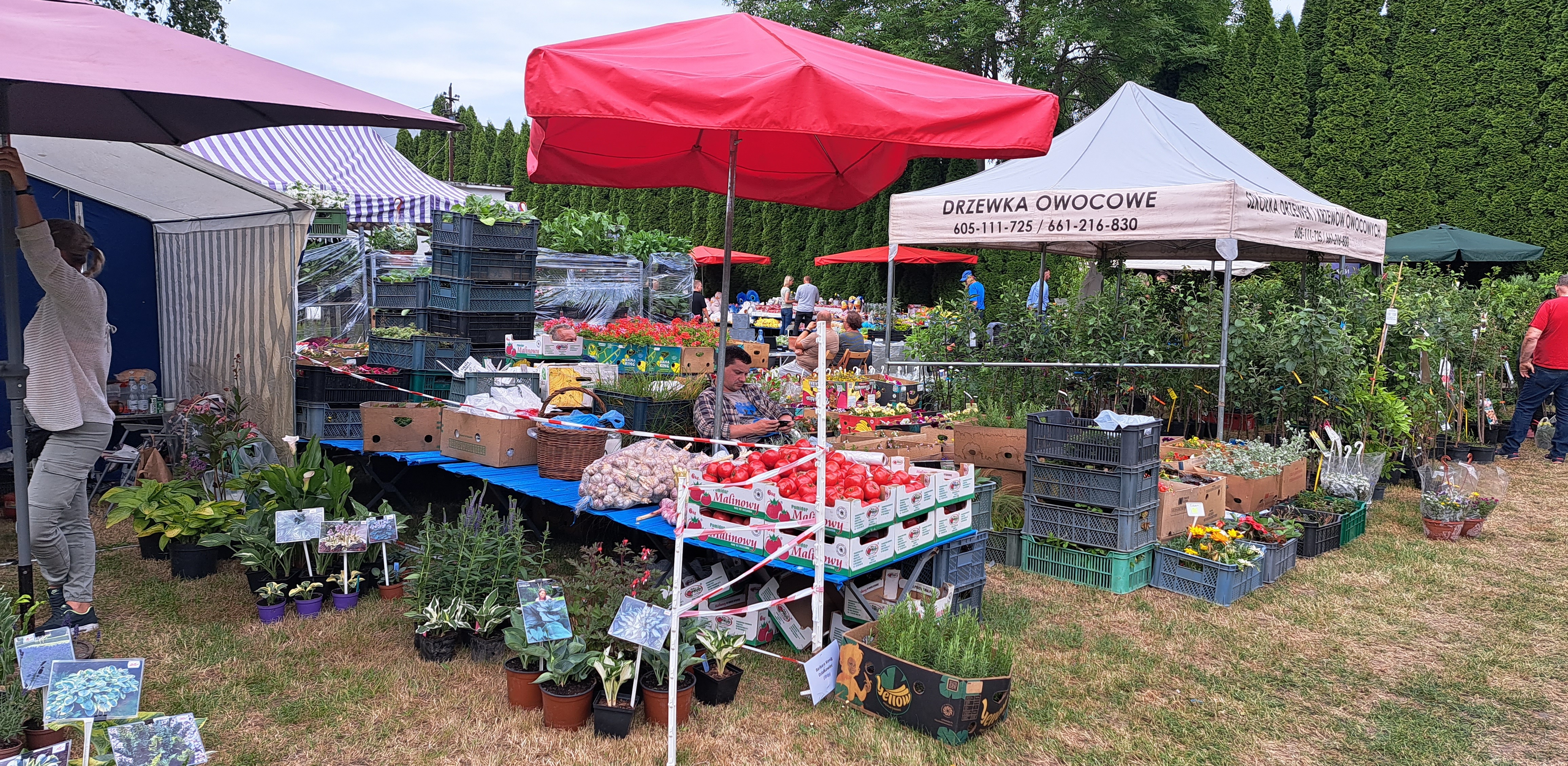 (fot. Radio Gdańsk/Marek Nowosad)