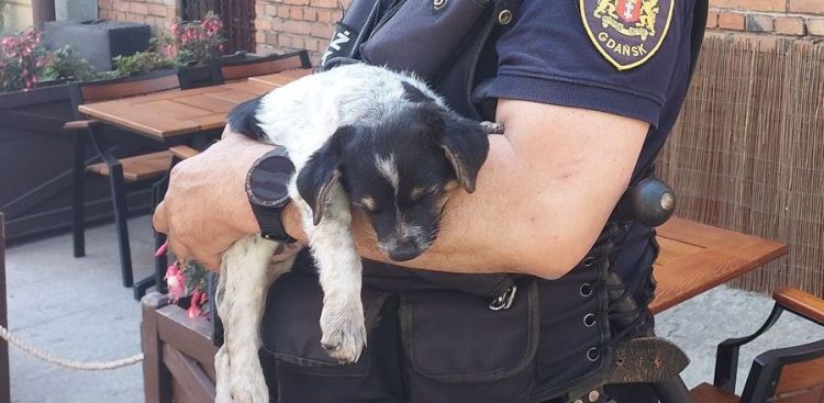 (Fot. Radio Gdańsk/Grzegorz Armatowski)