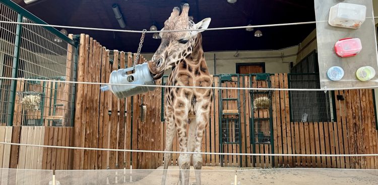 (fot. Radio Gdańsk/Marta Włodarczyk)