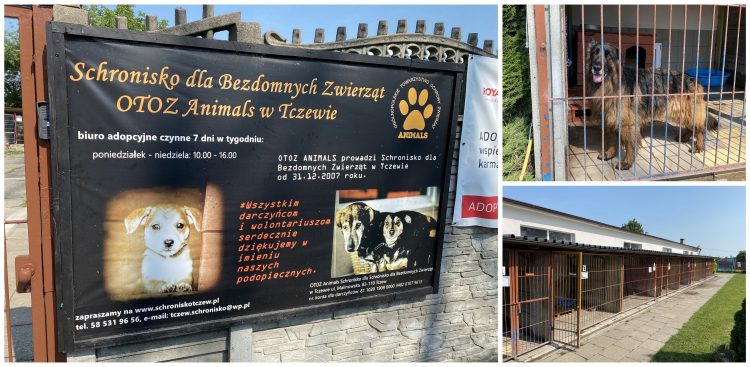 (fot. Radio Gdańsk/Filip Jędruch)