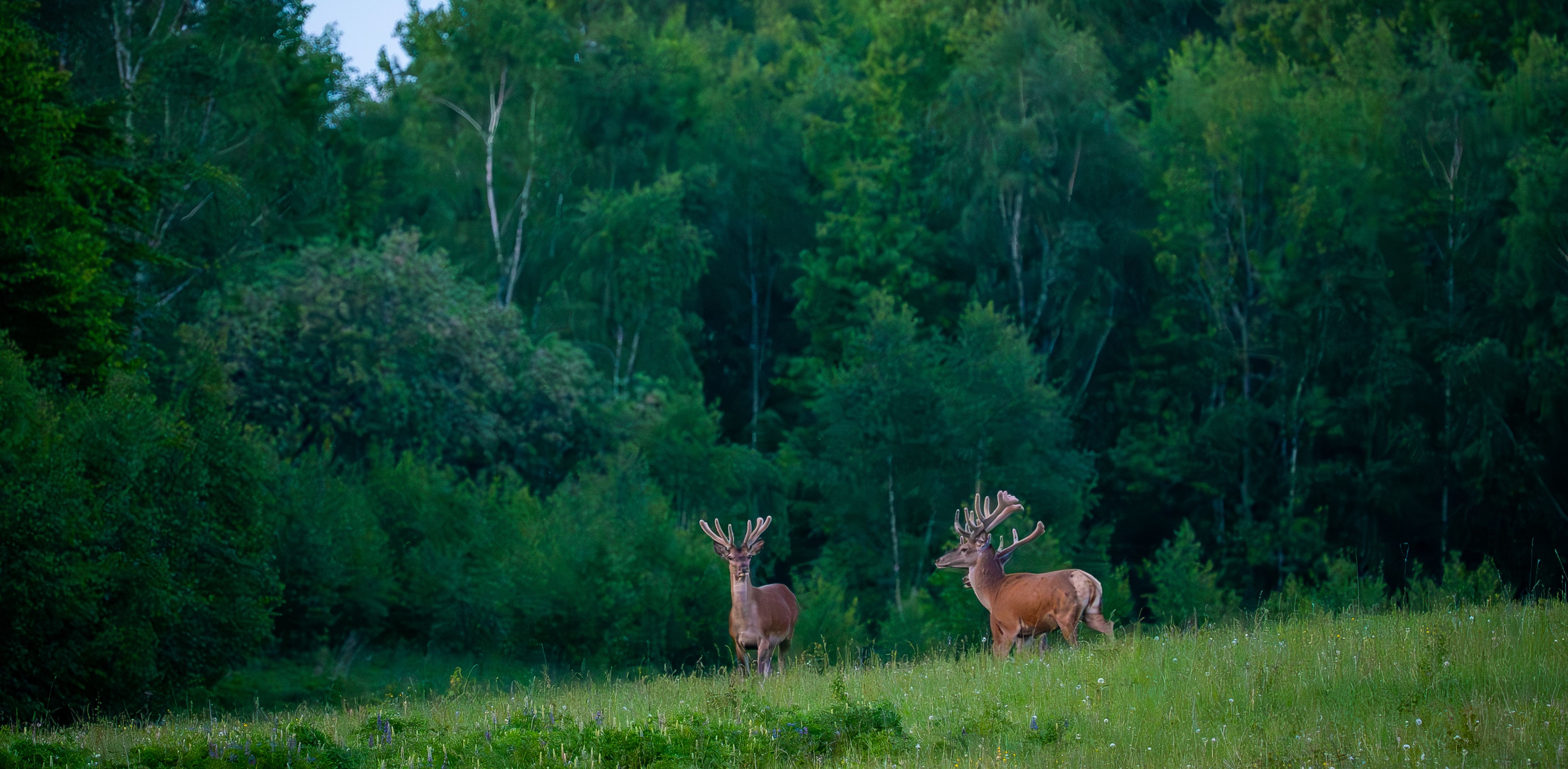 (Fot. Radio Gdańsk/Grzegorz Armatowski)